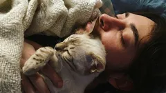 Perché il gatto dorme sull’uomo: 11 motivi di questa dolce abitudine