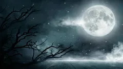 Quanto tempo ci vuole per arrivare sulla Luna: i ricercatori svelano la risposta